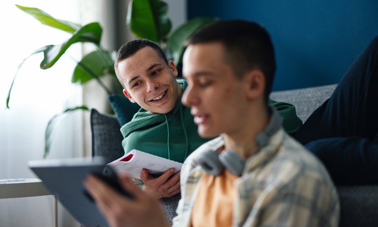Teenage twin boys look at a tablet