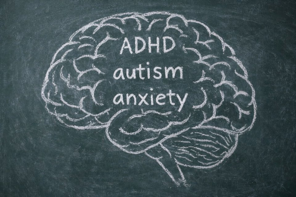 a drawing of a brain on chalkboard with the words ADHD, autism and anxiety inside the brain