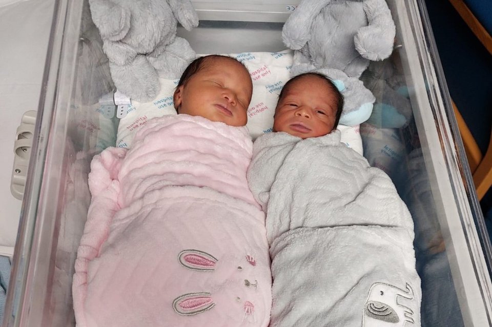 Twin babies sleeping in a hospital cot