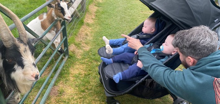 A man points at a goat to two boys in a pram