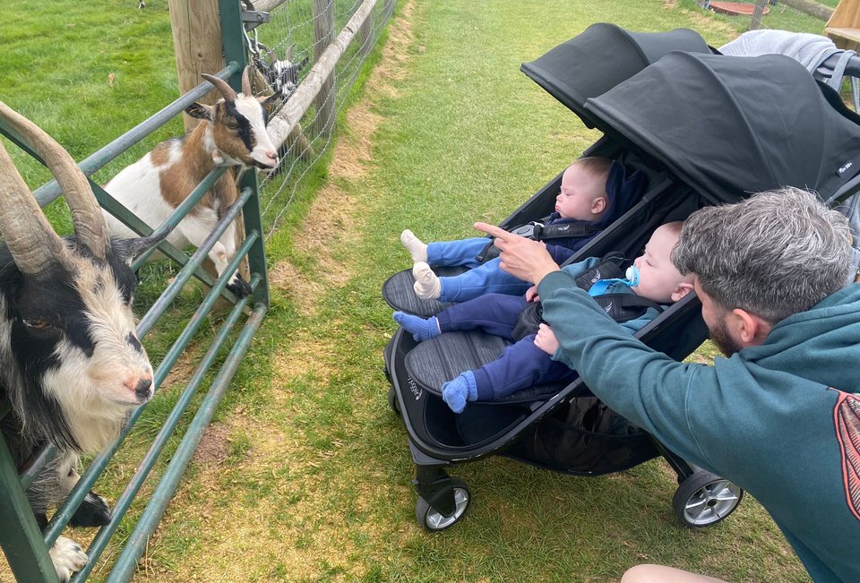 A man points at a goat to two boys in a pram