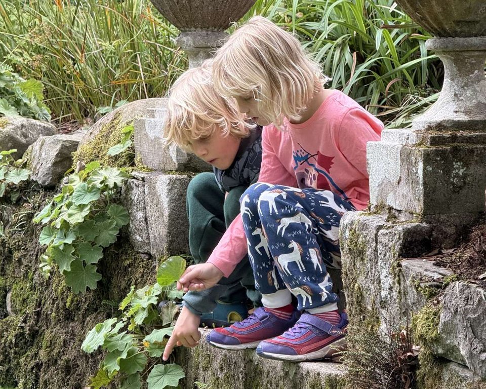 two children sat on a step looking down at the pond