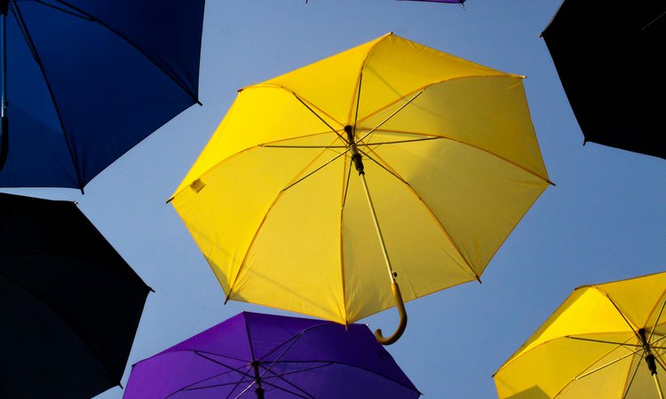 Yellow and purple umbrella hung open in the air seen from below