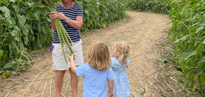 a grandmother picking sunflowers with her twin grandchildren