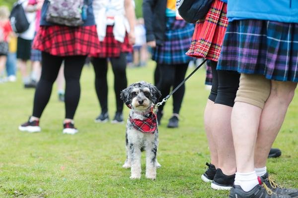 dog wearing a tartan bandana on a lead amongst people wearing tartan kilts