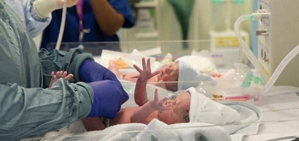 twin babies in neonatal care