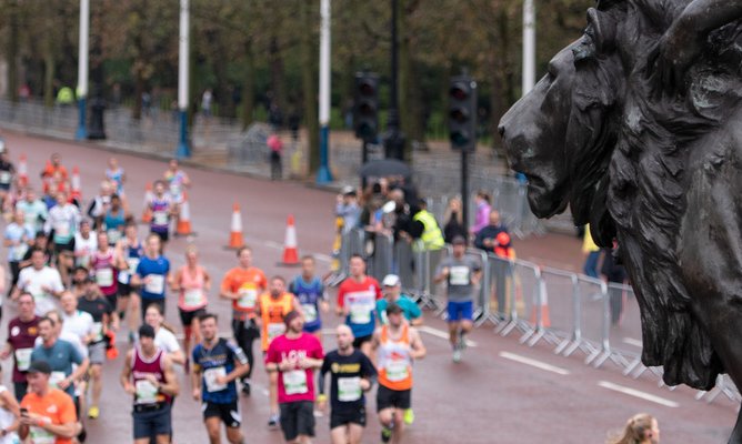 royal-half-CREDIT-RB-CREATE-TT861